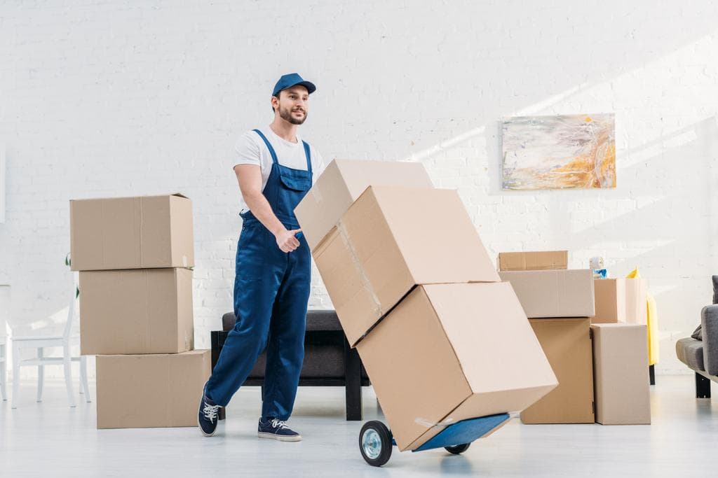 Professional moving service